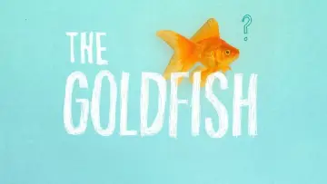 Задник до фільму "The Goldfish" #1573213