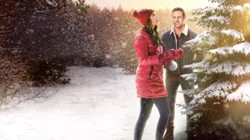 Задник до фильму"The Christmas Promise" #404270