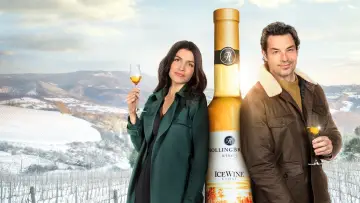 Задник до фильму"The Perfect Pairing" #406749