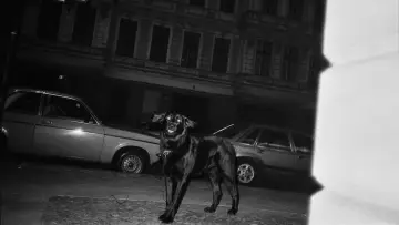 Задник до фильму"Ještě nejsem, kým chci být" #1015757