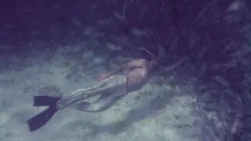 Задник до фільму "Saved From The Waters" #1432830