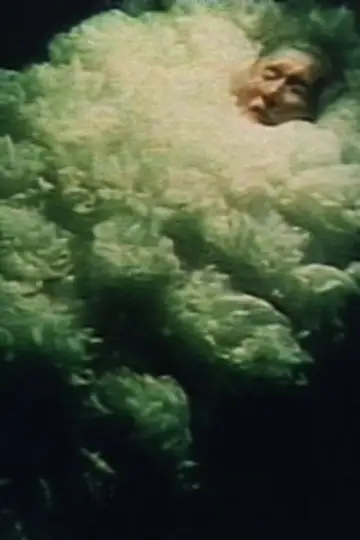 眠る花 постер