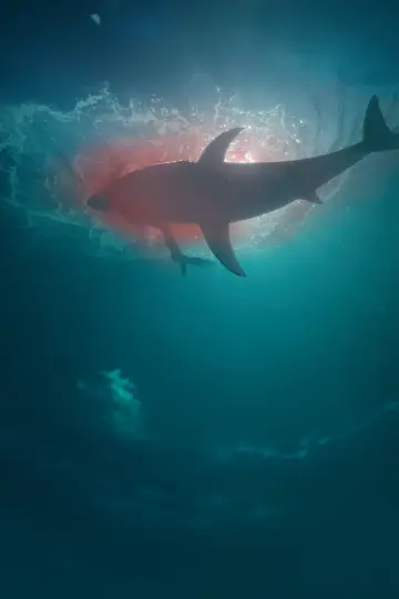 Постер до фильму"Deep Fear" #162443