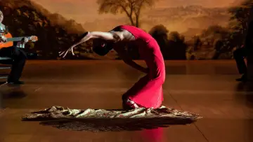 Задник до фильму"Flamenco Flamenco" #744750