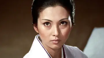 Задник до фільму "銀蝶流れ者 牝猫博奕" #1619925