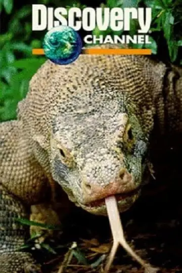 Постер до фильму"Dragons of Komodo" #1153497