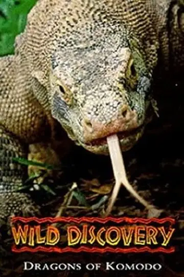 Постер до фильму"Dragons of Komodo" #1153498