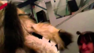 Задник до фільму "Doggiewoggiez! Poochiewoochiez!" #1921070