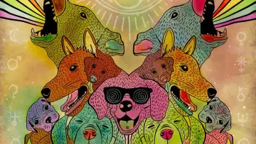 Задник до фільму "Doggiewoggiez! Poochiewoochiez!" #1921071