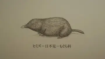 Задник до фильму"ヒミズ" #951374