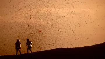 Задник до фильму"Fire of Love" #1025146