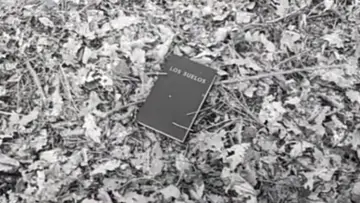 Задник до фильму"Los Suelos" #1194568