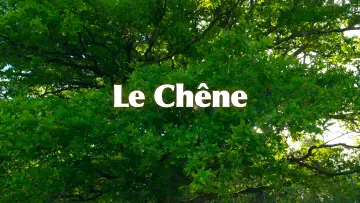 Задник до фильму"Le Chêne" #198311