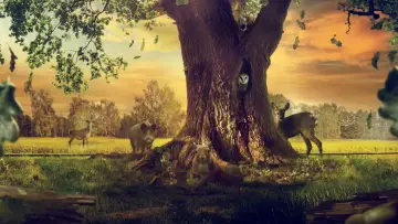 Задник до фильму"Le Chêne" #792500