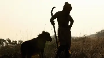 Задник до фильму"தங்கலான்" #885911