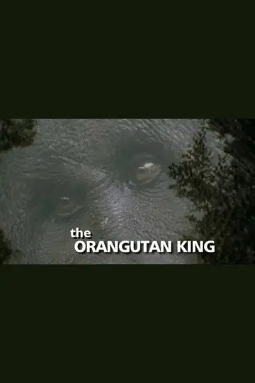 The Orangutan King постер