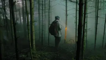 Задник до фильму"Тихий ліс" #373124