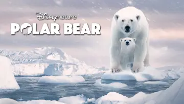 Задник до фильму"Polar Bear" #1072561
