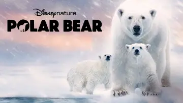Задник до фильму"Polar Bear" #1072562