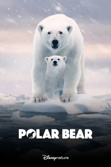 Постер до фильму"Polar Bear" #1072571