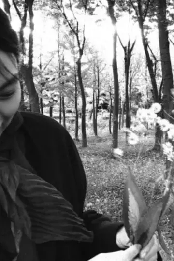 Постер до фильму"소설가의 영화" #459087