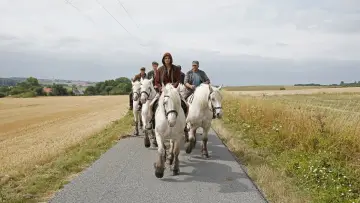 Задник до фильму"L