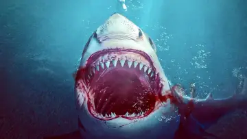 Задник до фильму"Bull Shark" #363523