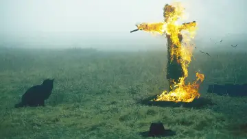 Задник до фильму"破碎太阳之心" #443746