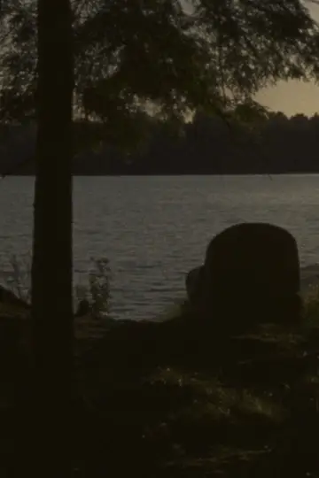Постер до фильму"Falcon Lake" #760043
