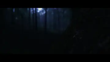 Задник до фильму"Birth" #1146691