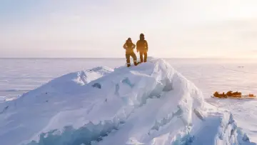 Задник до фильму"Bear Witness" #725169
