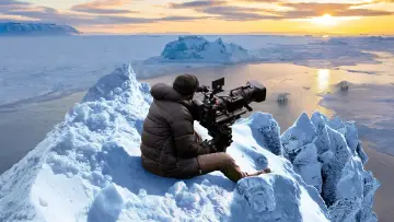 Задник до фильму"Bear Witness" #725170