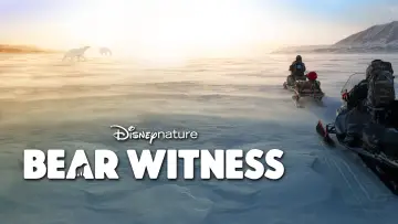 Задник до фильму"Bear Witness" #725172