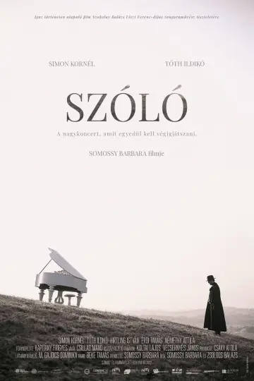 Постер до фильму"Szóló" #1145204