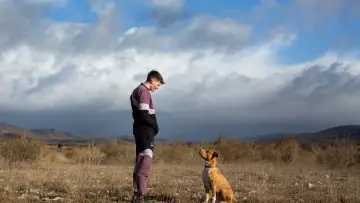Задник до фильму"Chien de la casse" #1011261