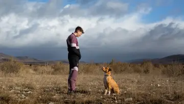 Задник до фильму"Chien de la casse" #355132