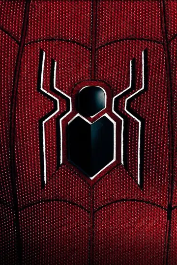 Постер до фильму"Spider-Man: All Roads Lead to No Way Home" #455194