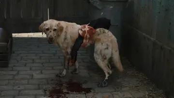 Задник до фильму"Сталевий алхімік: Помста Шрама" #951155