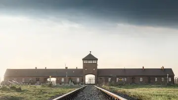 Задник до фільму "Auschwitz, la machine de mort nazie" #1147904