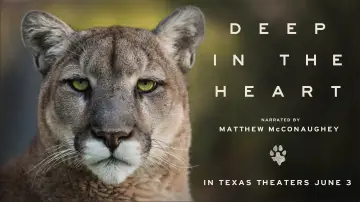 Задник до фільму "Deep in the Heart: A Texas Wildlife Story" #1040951