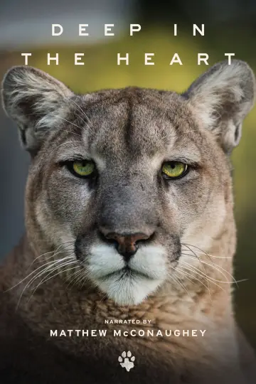 Постер до фільму "Deep in the Heart: A Texas Wildlife Story" #1040955