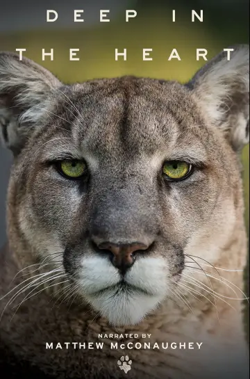 Постер до фільму "Deep in the Heart: A Texas Wildlife Story" #1040956