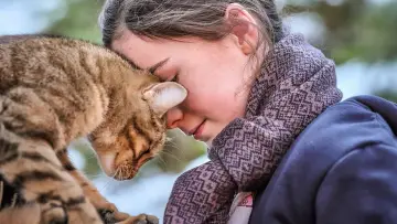 Задник до фільму "Котяче життя. Велика пригода Муурр" #385346