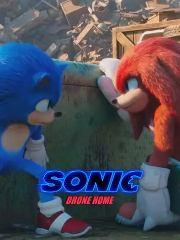 Постер до фильму"Sonic Drone Home" #1007399