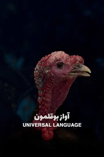Постер до фильму"Une langue universelle" #654902