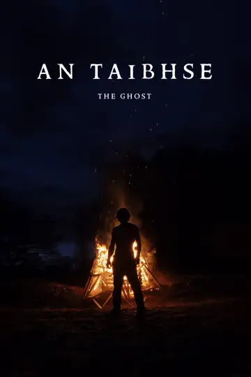 Постер до фильму"An Taibhse" #916919