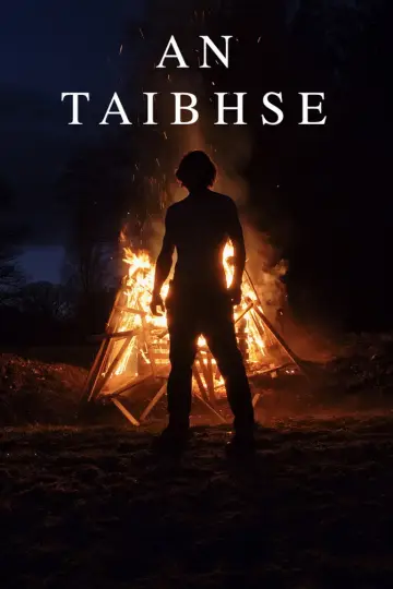 Постер до фильму"An Taibhse" #916921