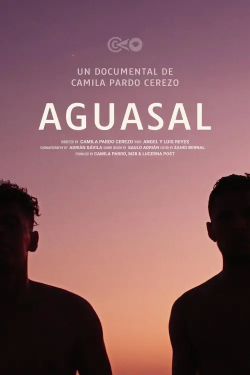 Постер до фільму "Aguasal"