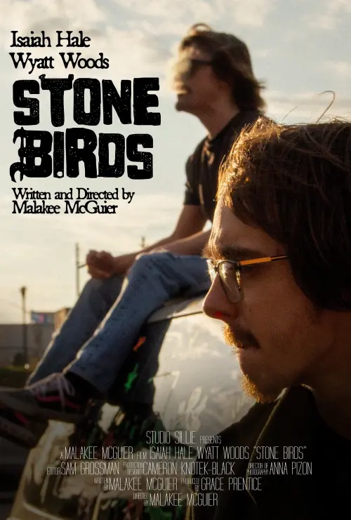 Постер до фільму "Stone Birds"