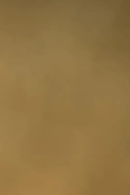 Постер до фільму "Sky Journal II [Yellow]"